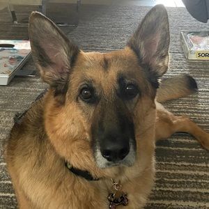 Meet your Posher, Haley